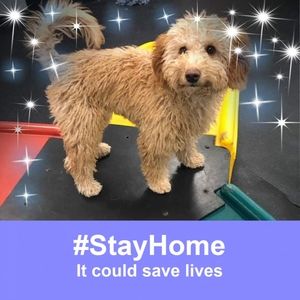 Meet your Posher, Patricia